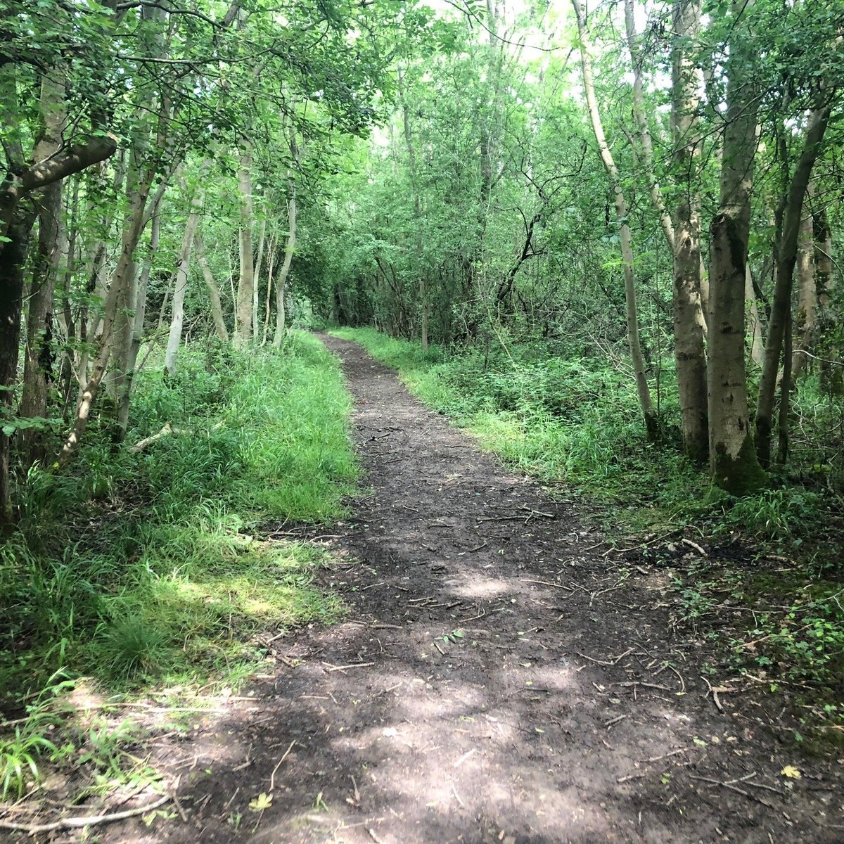 BRAMPTON WOOD NATURE RESERVE (2025) All You Need to Know BEFORE You Go ...