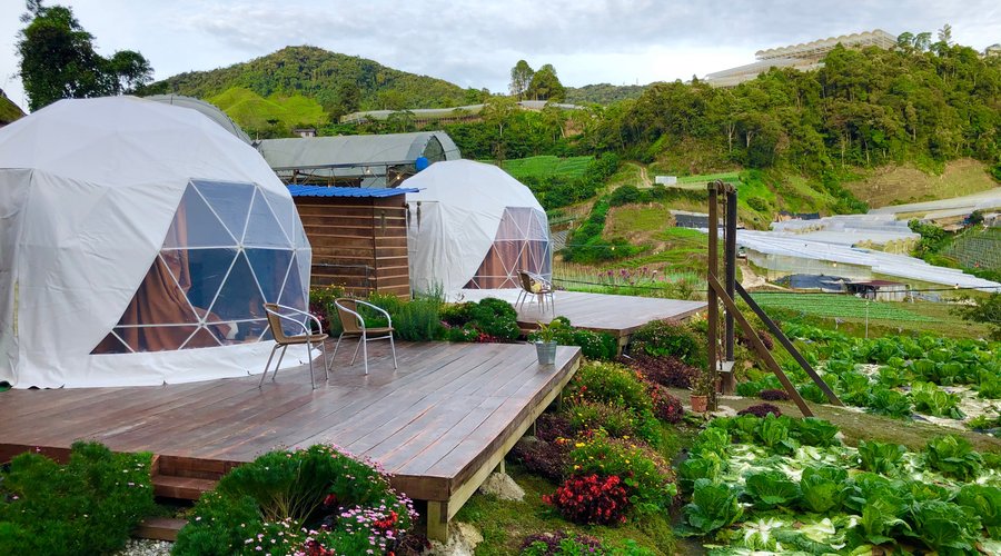 Dome stay