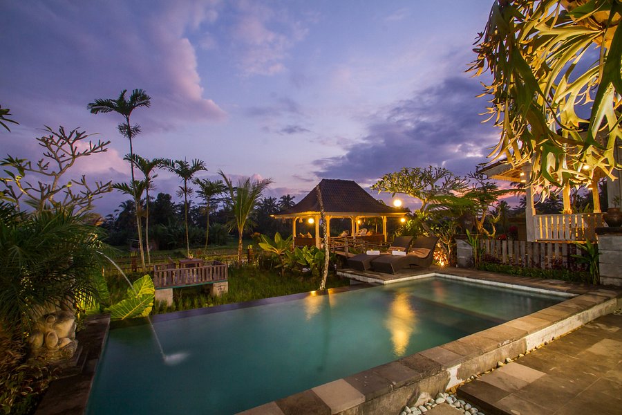 Uma Caming Villas Gym Updated 22 Prices Hotel Reviews And Photos Bali Tegalalang Indonesia Tripadvisor