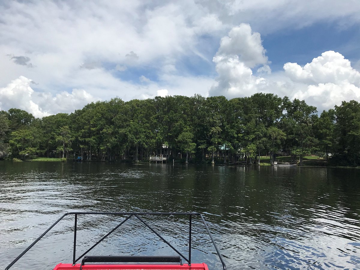 Captain Bobs Airboat Tour Dunnellon All You Need To Know Before You Go