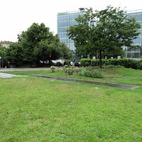 Vista del giardino