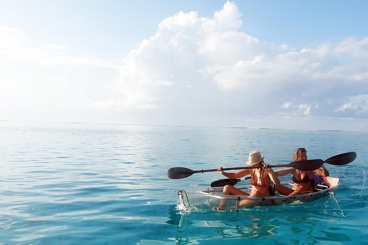 2024 Moorea Lagoon Tour By Transparent Kayak