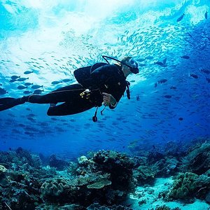 Blue Adventures Scuba Diving - All You Need to Know BEFORE You Go (2024)