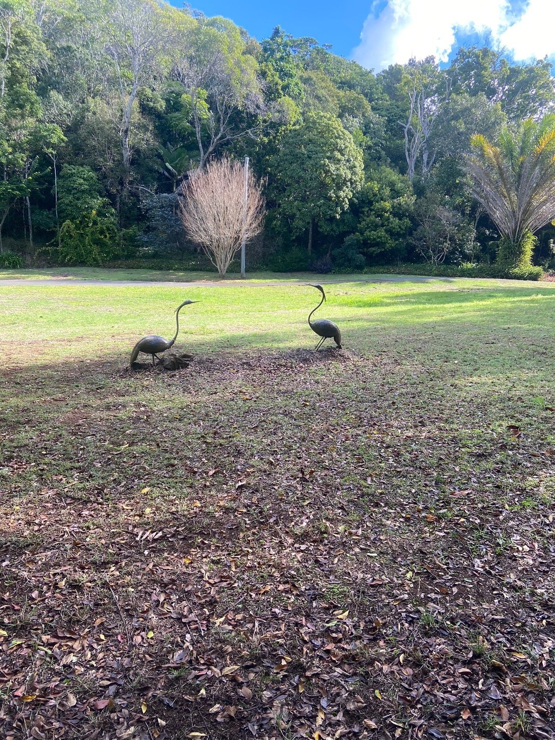 COOROY COUNTRY COTTAGES: Reviews - Photos of Cottage - Tripadvisor