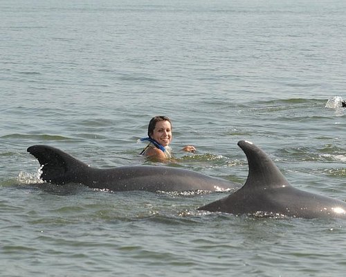 puerto vallarta tours and excursions