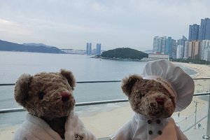 旅行者の写真