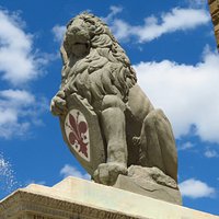La caratteristica espressione del Marzocco (si notino però le sottili fessurazioni della pietra arenaria)