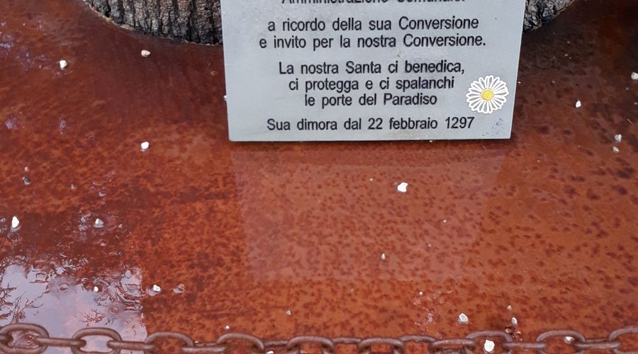 Quercia di Santa Margherita 