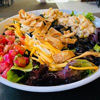 Taco Cobb // Summer 2020