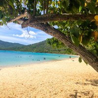 Brewer's Bay (St. Thomas) - All You Need to Know BEFORE You Go