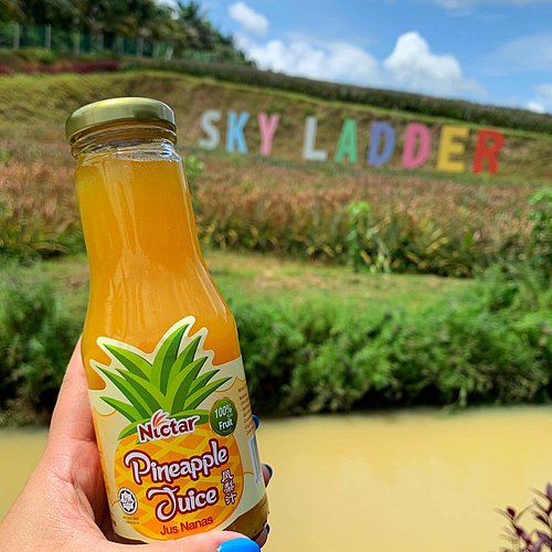 Pineapple sky farm ladder Digital Designs