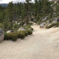 Flume Trail (Lake Tahoe (Nevada)) - All You Need to Know BEFORE You Go