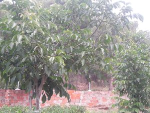 Seyahat Eden