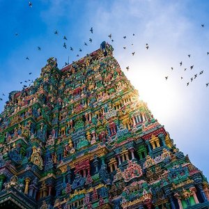 THE 15 BEST Things to Do in Madurai - 2023 (with Photos) - Tripadvisor