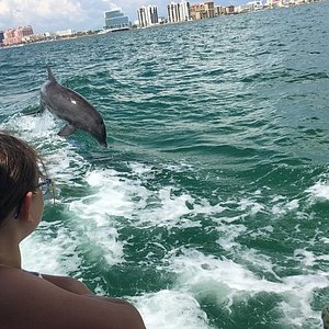 sea life safari nature cruise reviews