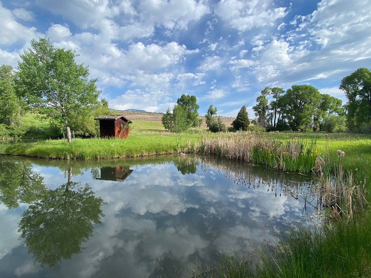 River farm. Ферма на реке.