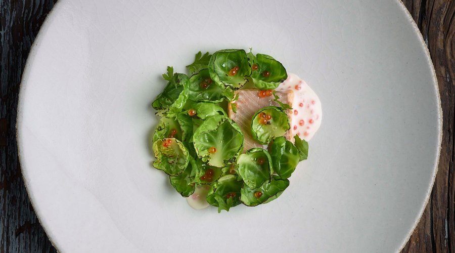 CIBO image 4 - Full view