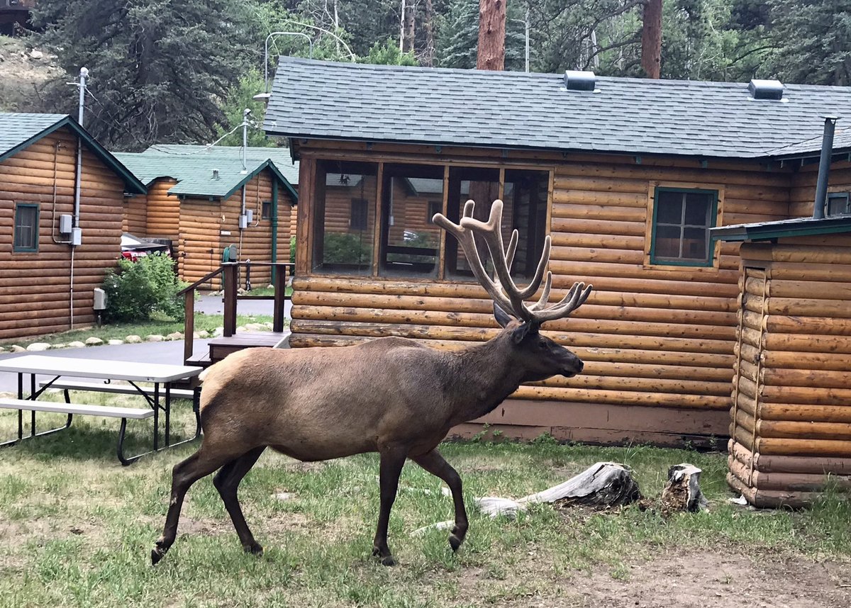 IDLEWILDE BY THE RIVER - Prices & Campground Reviews (Estes Park, CO)