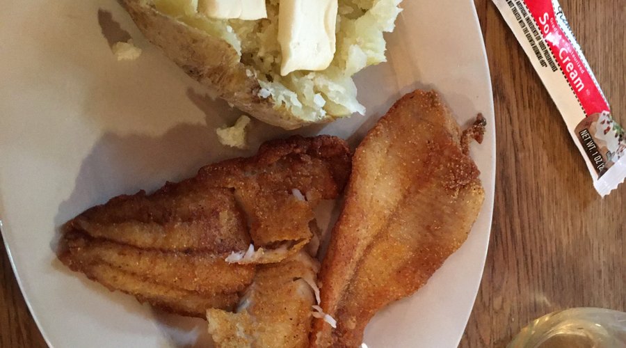 Fresh fish for dinner!