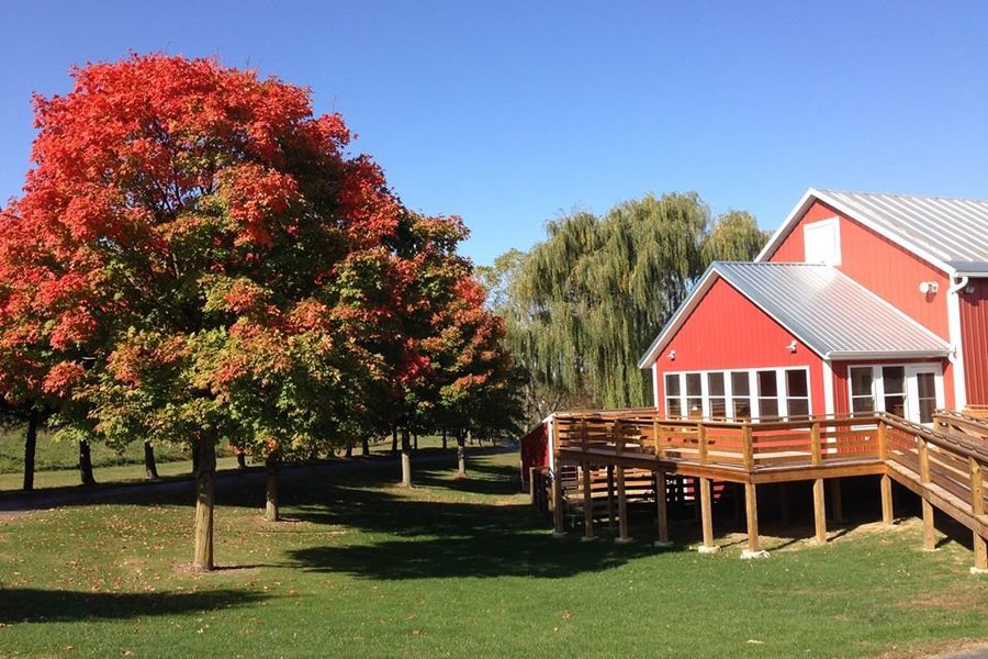 Country experience. Bowral Australia.
