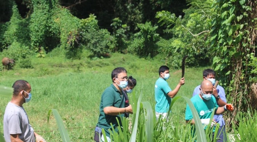 Many thanks to our conservation champs in the Kappa Epsilon Fraternity and Sorority- UP Mindanao Chapter for donating face masks, gloves and alcohol for our frontliners at the PEC! Your support will surely go a long way in ensuring that our Philippine Eagles and other animals here are all well taken care of. 🙌🏽💚

#ConservationPartner #savepheagle