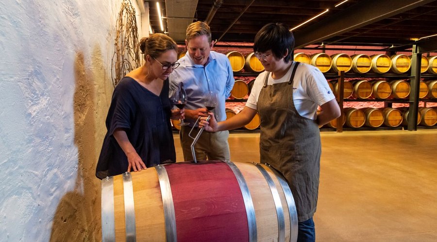 Siphoning wine from the barrel in our Yalumba Signature Cellar