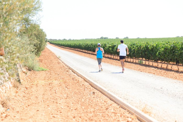 Imagen 2 de Bodegas Vi Rei