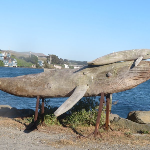 Mammoth Rocks (Bodega Bay) - All You Need to Know BEFORE You Go