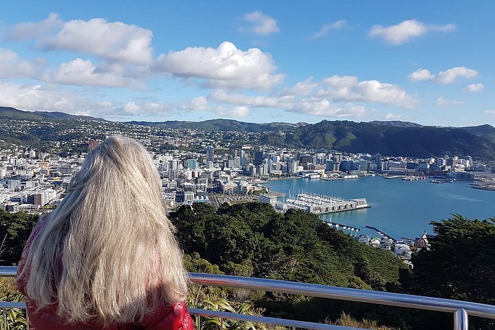 2024 Private Wellington Full Day Sightseeing Tour