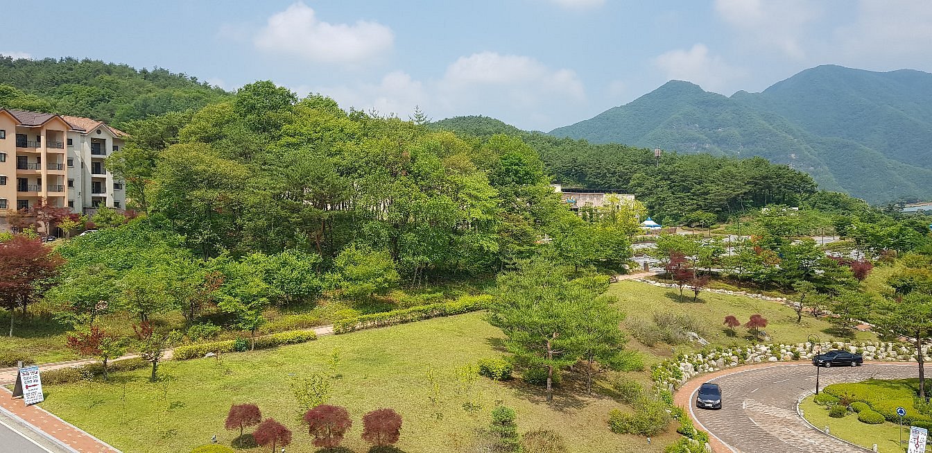 리조트 동강시스타 (Donggang Cistar, 영월) - 호텔 리뷰 & 가격 비교 리조트 동강시스타 (Donggang Cistar, 영월) - 호텔 리뷰 & 가격 비교
