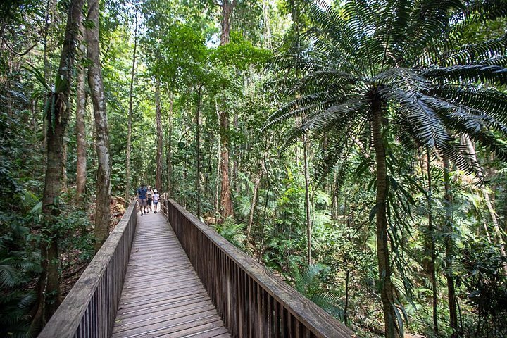 Wildlife Habitat Port Douglas - Boyd oh Boyd Do you think