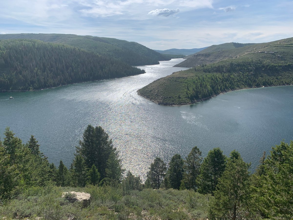 are dogs allowed at strawberry reservoir