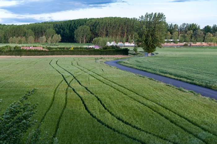 Imagen 16 de La Fábrica