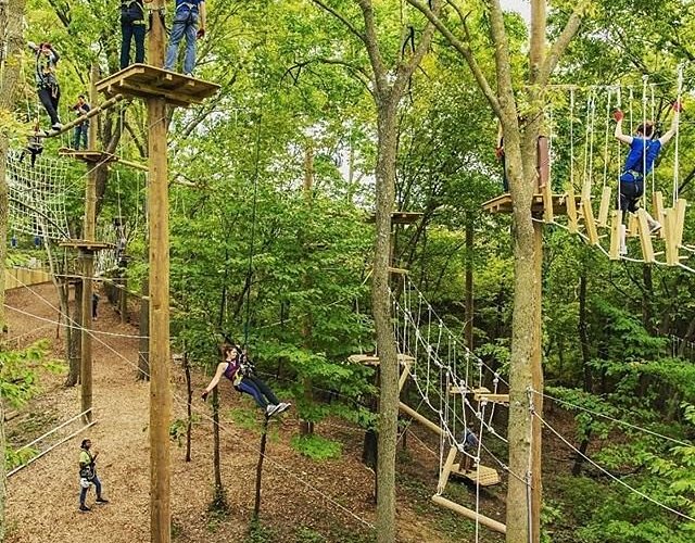 TreeRush Adventures at Fontenelle Forest (Bellevue) - All You Need to ...