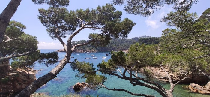 Imagen 3 de Playa Fonda, Begur (Platja Fonda, Begur)