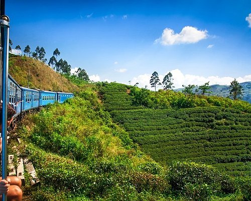 The 10 Best Day Trips From Sri Lanka 21 With Photos Tripadvisor The 10 Best Day Trips From Sri Lanka 21 With Photos Tripadvisor