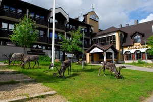 Lapland Hotel Riekonlinna in Saariselka, image may contain: Neighborhood, Hotel, Villa, Grass