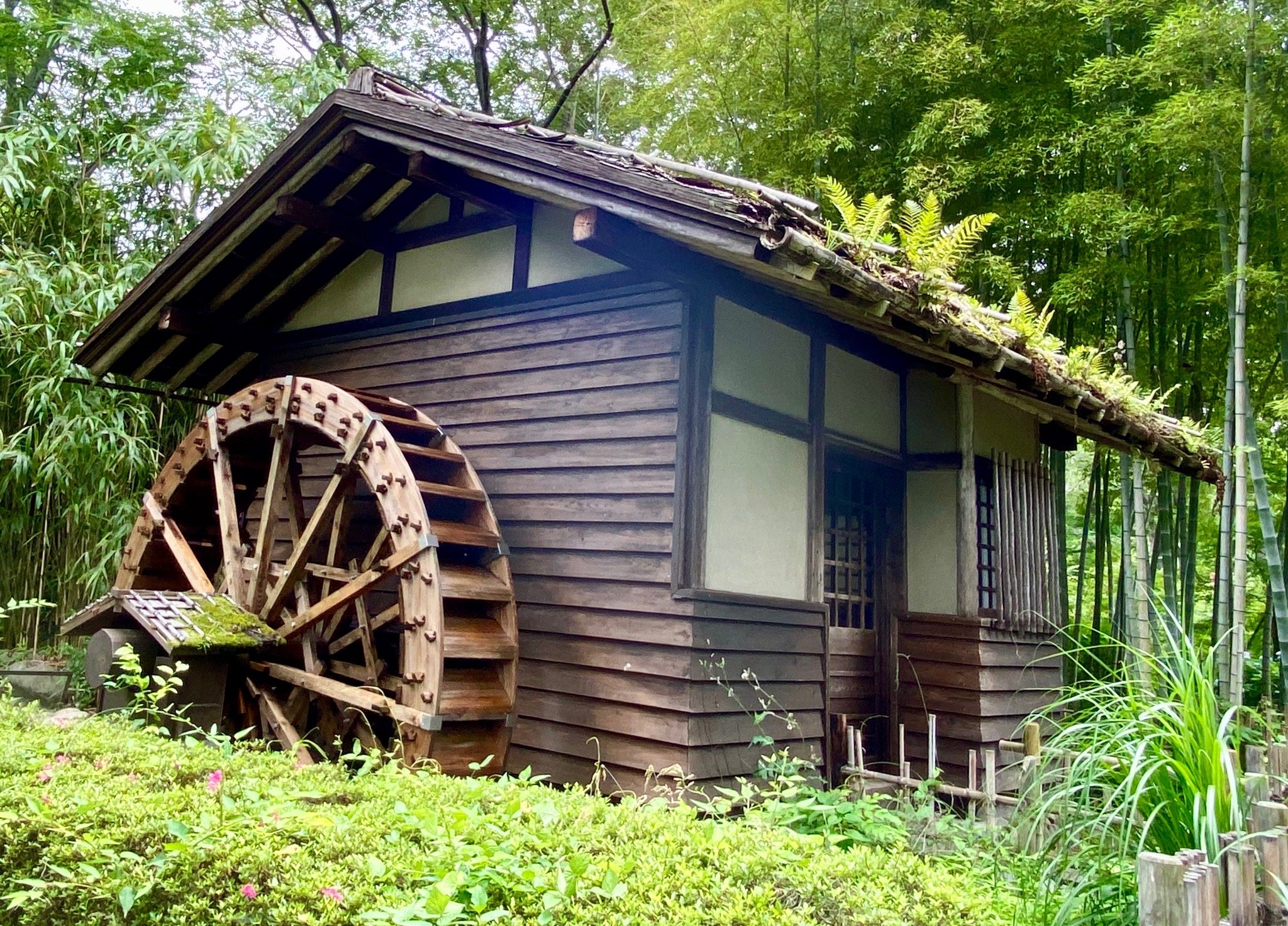 コトバの生まれる場所 | 崎山多美 |本 | 通販 | Amazon