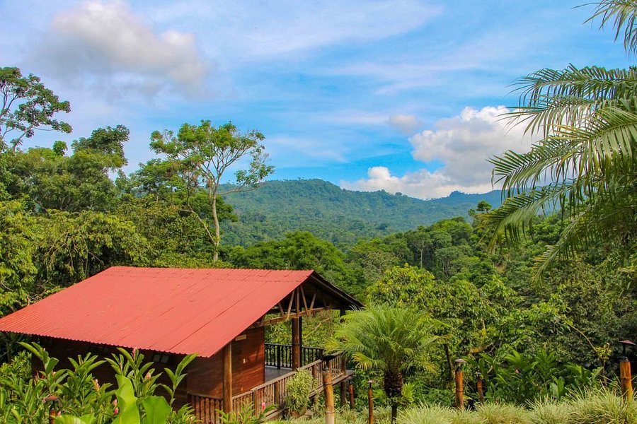 ARGOVIA FINCA RESORT, RUTA DEL CAFE desde 1,437