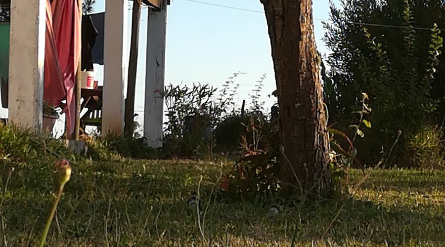 Monte ao fum do dia