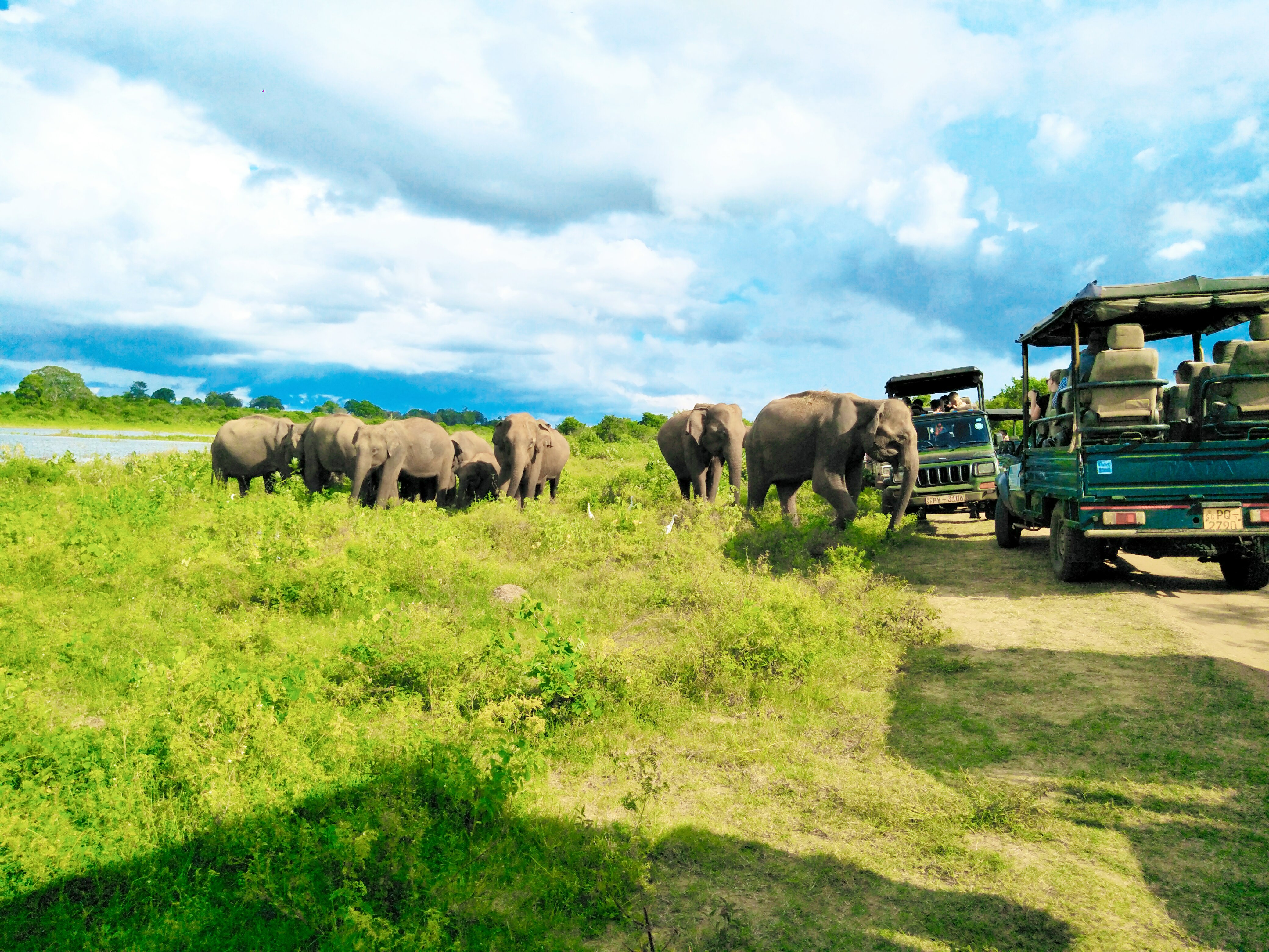 Udawalawe National Park 관광명소 BEST 10 - Tripadvisor - 트립어드바이저