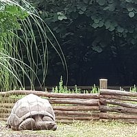 Un piccolo gioiello immerso nella natura.