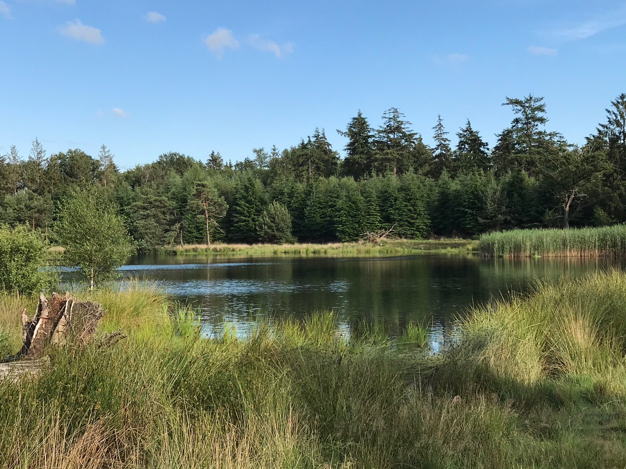 DE KEMPSE HOEVE: Bewertungen, Fotos & Preisvergleich (Boxtel ...