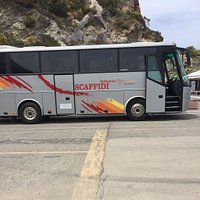 Tour panoramici Noleggio bus da 10 a 50 posti Servizi di linea