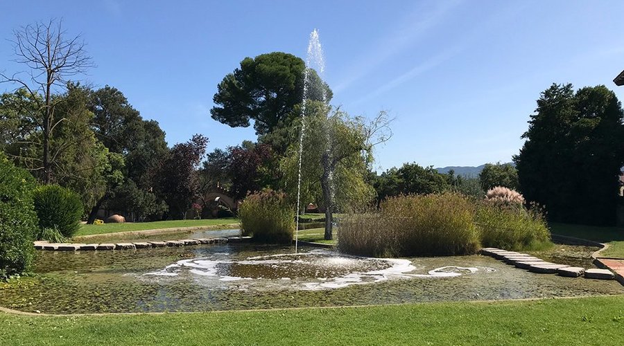 cavas codorniu