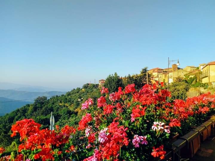 B&B ANTONELLA - Prices & Specialty B&B Reviews (Perito, Italy)