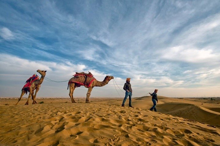 desert camel safari jodhpur