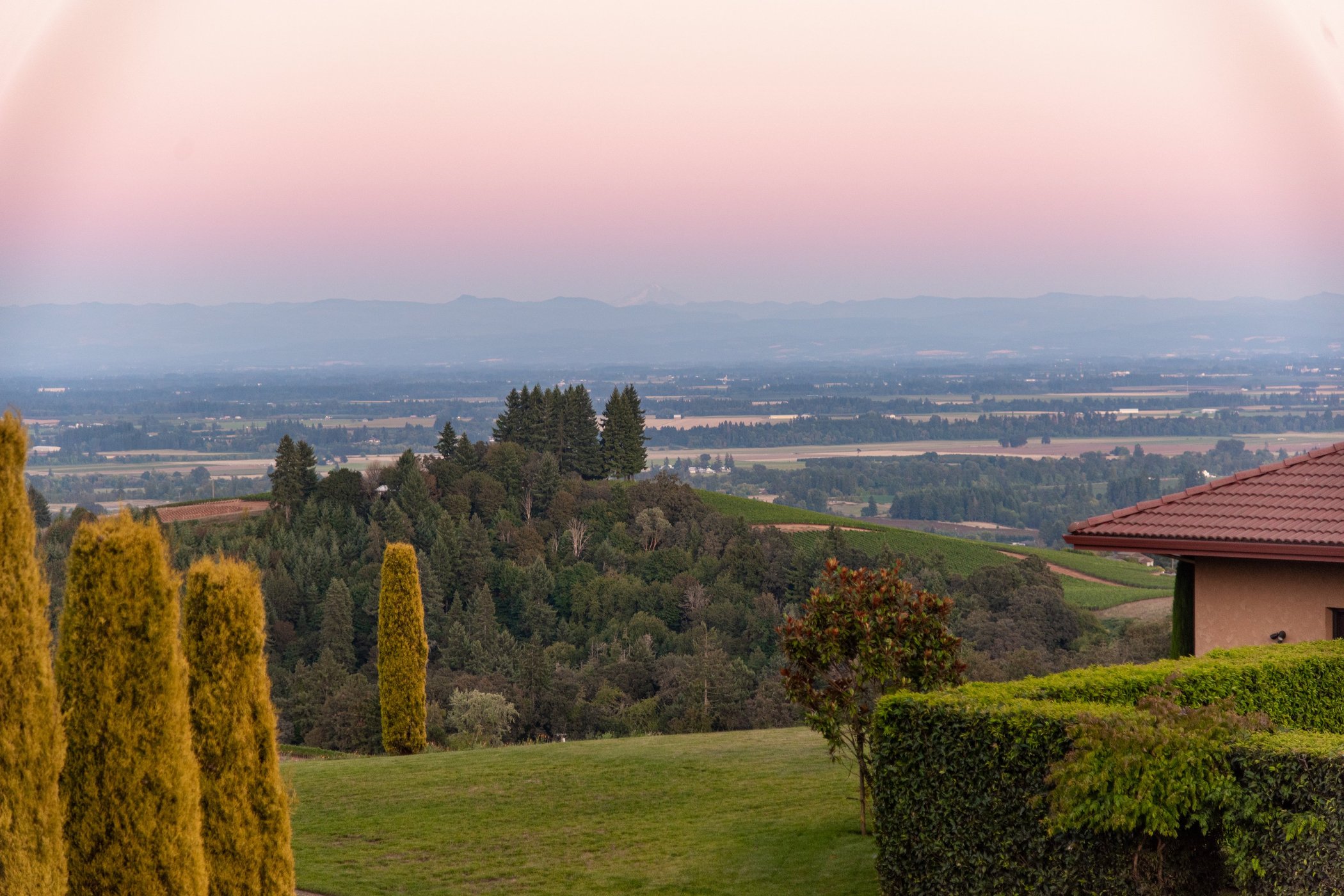 Black Walnut Inn & Vineyard by null
