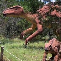 Dinosaur World (Glen Rose) - All You Need to Know BEFORE You Go