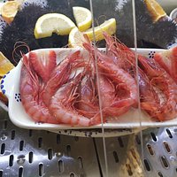 Scampi